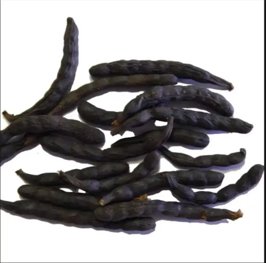 Grains of Selim (Whole)