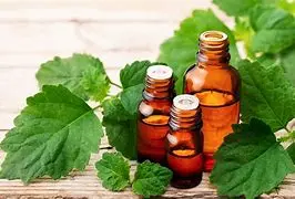 Patchouli (Essential Oil)